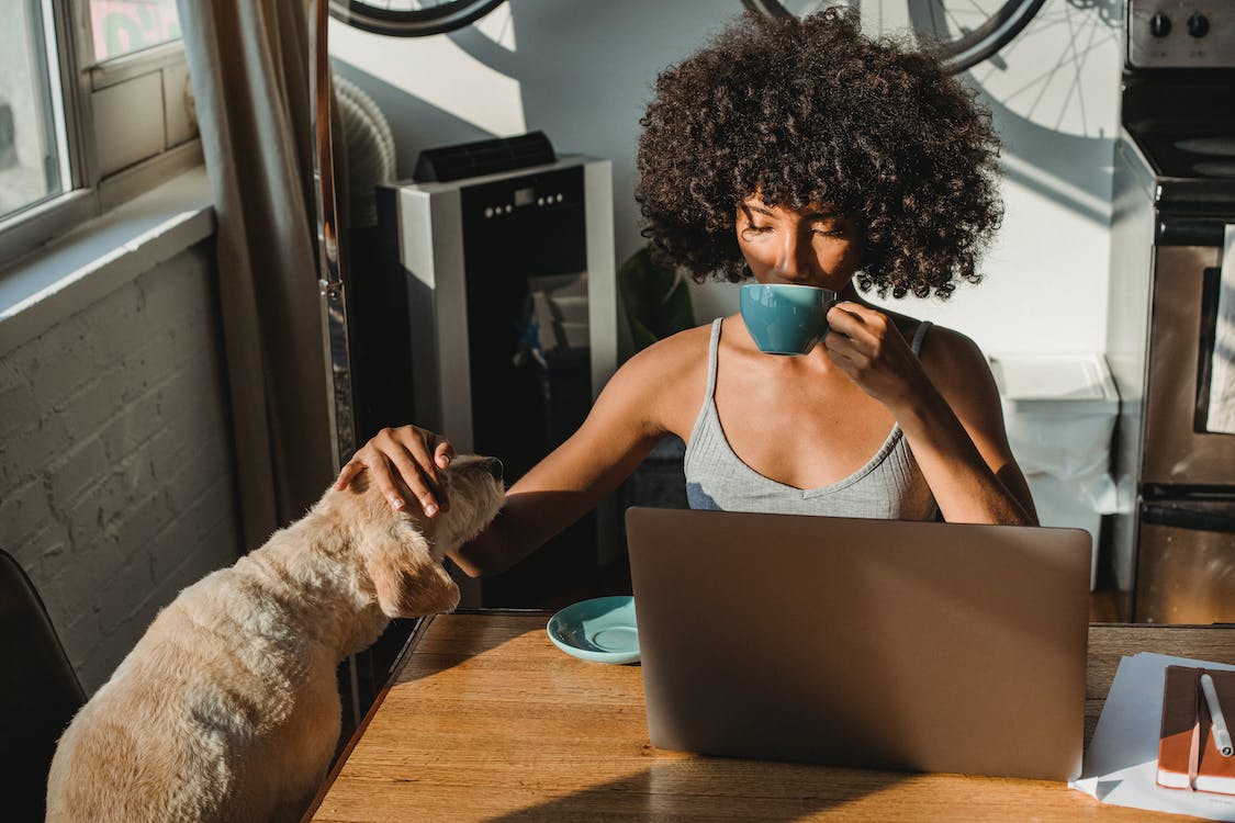 work for free, female freelancer using her laptop, sipping tea and stroking her dog