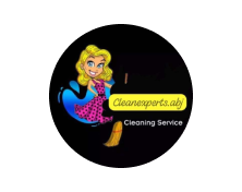 cleanexpert