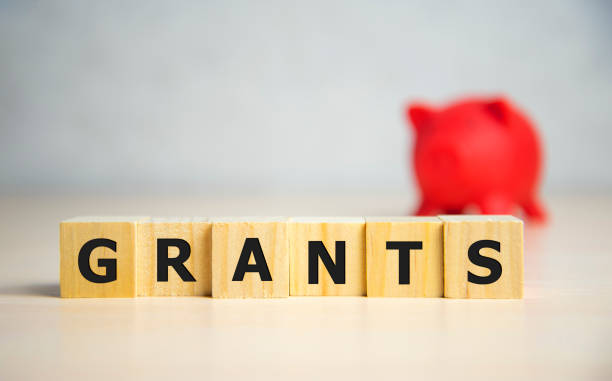 Top 5 business grants and funding options for Nigerian entrepreneurs and business owners in 2025